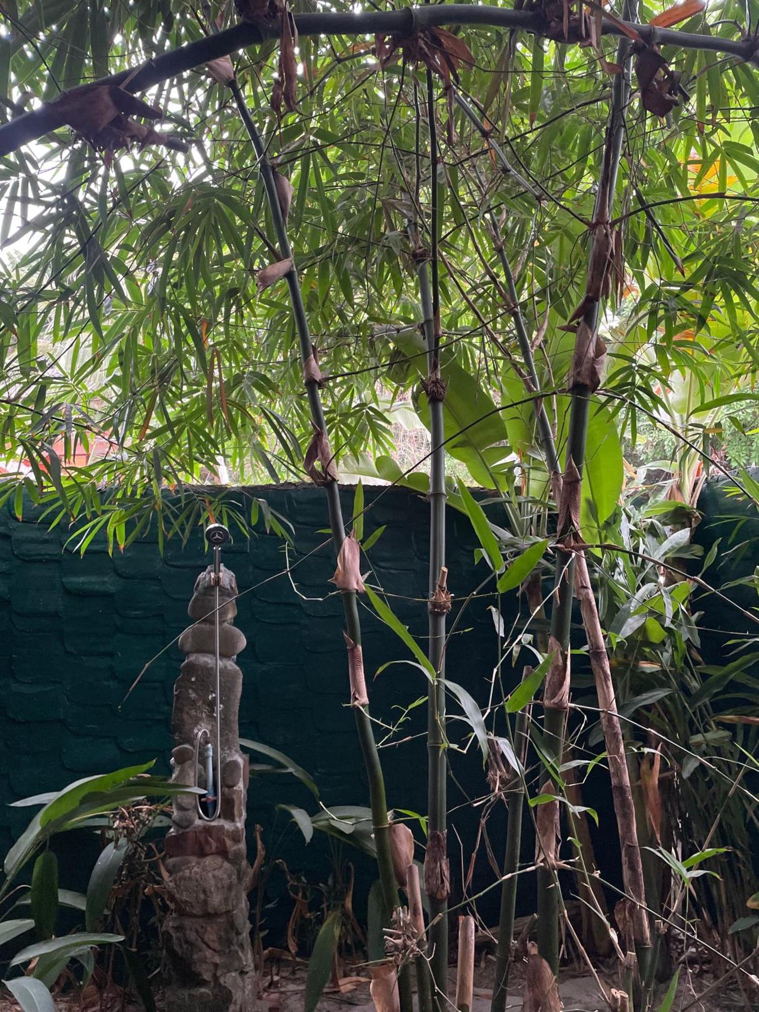 Yaiya Hostel & Smoothie Bar Kaoh Touch Exterior photo